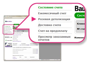 Как сделать распечатку. Разовая детализация счета это. Детализация по лицевому счету МЕГАФОН. Детализация звонков по сим карте. Как в ватсапе заказать детализацию звонков.